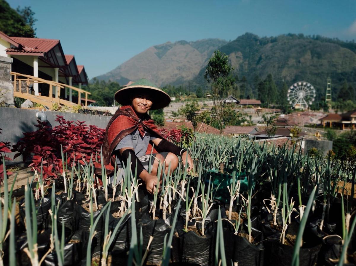 Gubuk Ndeso Homestay Bromo Kültér fotó