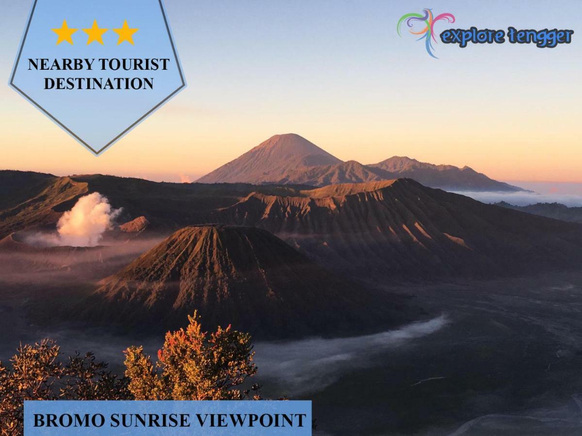 Gubuk Ndeso Homestay Bromo Kültér fotó